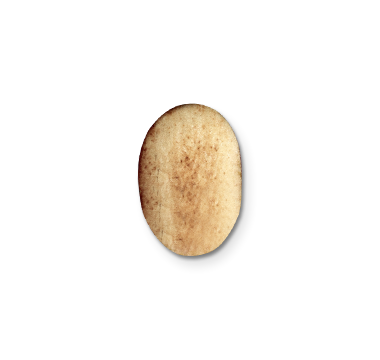 SMALL WHOLE WHEAT CYPRIOT OVAL PITTA BREAD